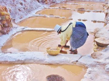 終日：聖なる谷（ウルバンバ）ご堪能プラン