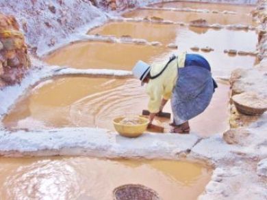 終日：聖なる谷（ウルバンバ）ご堪能プラン